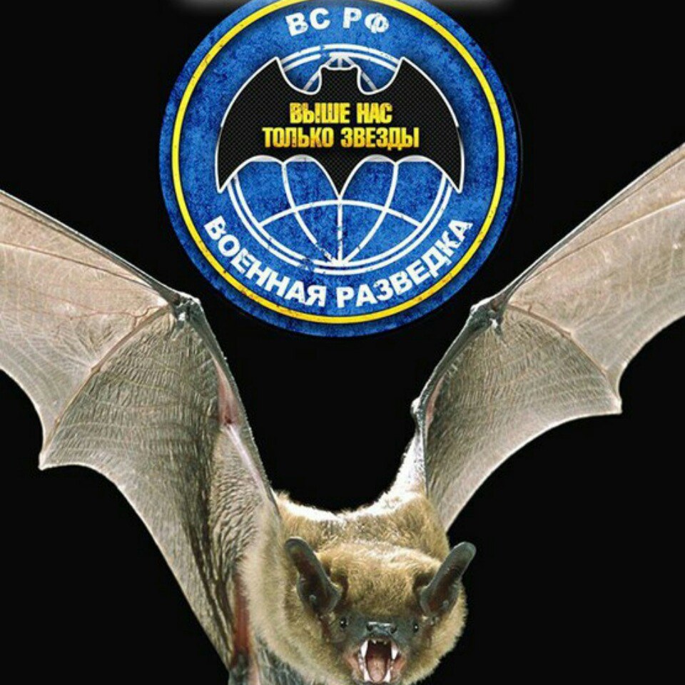 ЛЕТУЧИЕ МЫШИ РАЗВЕДКА.mp4 смотреть онлайн