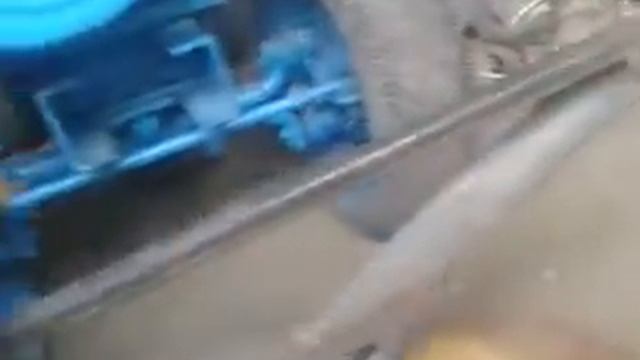 коса смотреть онлайн