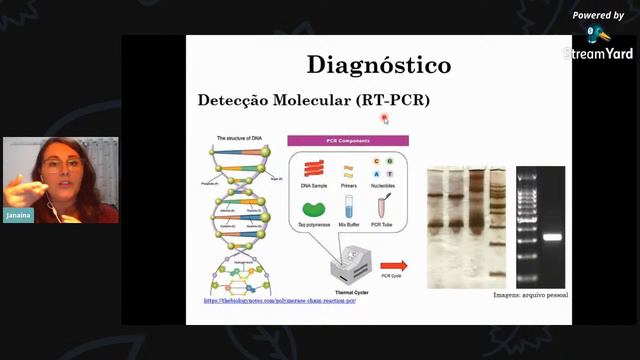 Arboviroses: epidemiologia, identificação do mosquito e diagnóstico laboratorial. смотреть онлайн