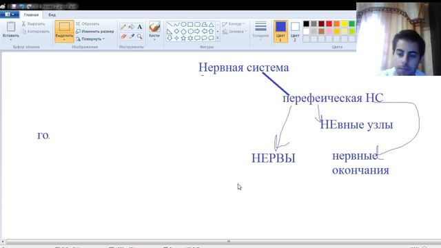 БИОЛОГИЯ смотреть онлайн
