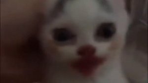 миша, ты что, пукнул? (пример мема)