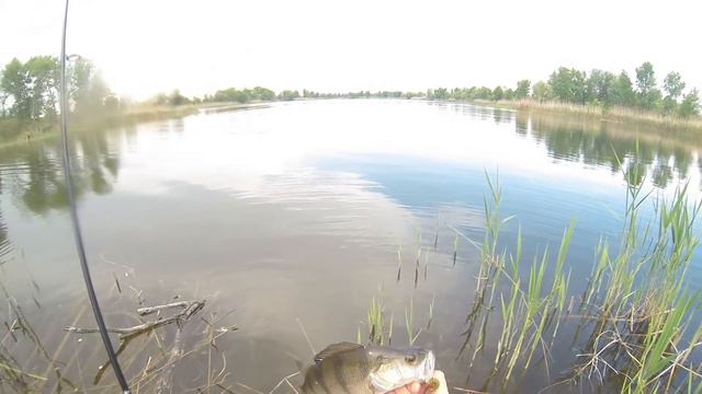 Ловля окуня на заливе Днепра...Тур Истории смотреть онлайн