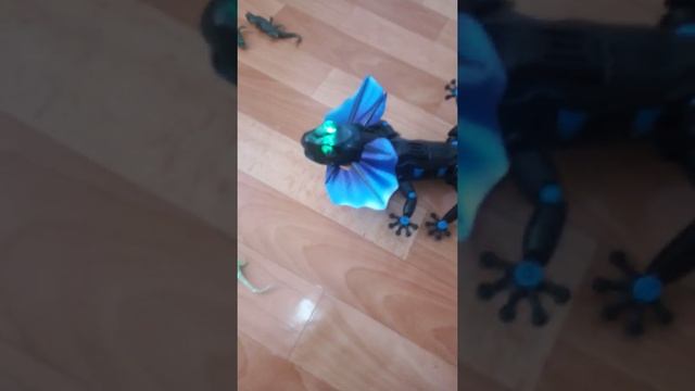 Плащеносная ящерица нападает, ящерица кусает смотреть онлайн