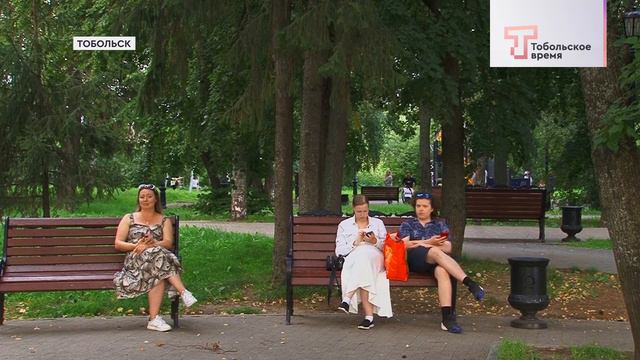 МОБИЛЬНЫЙ ИЗБИРАТЕЛЬ смотреть онлайн