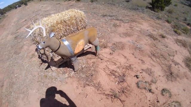 Elk beat up my deer target . ( Episode -1) смотреть онлайн