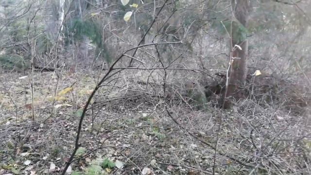 До следующего лета? ?? смотреть онлайн