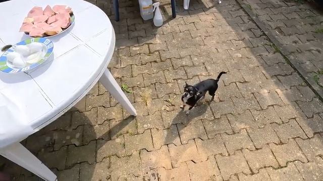 Влог на даче, дети приехали помогать помыли дорожки керхером а сами испачкались, распаковка посылок смотреть онлайн