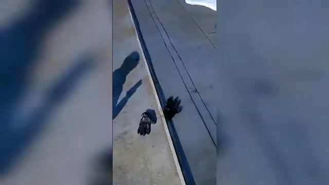 тренировка от первого леца смотреть онлайн