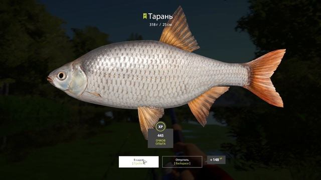 Русская рыбалка 4 (РР4) р. Северский Донец ТАРАНЬ Russian fishing 4 p. Seversky Donets ram fish смотреть онлайн