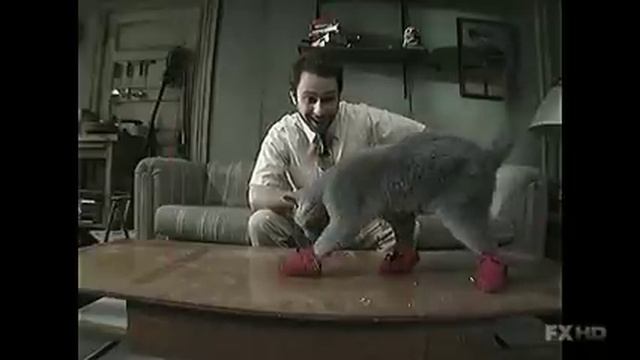 Charlie's Kitten Mittens Commercial смотреть онлайн