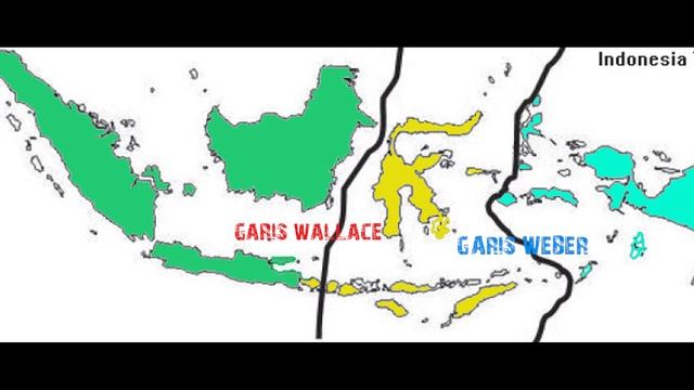 Flora dan Fauna Indonesia смотреть онлайн