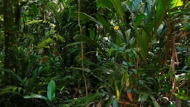 Луна в 4 доме смотреть онлайн