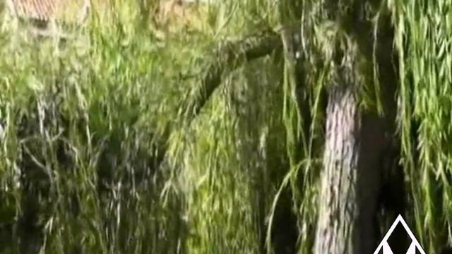 Деревенские вечера (клип) смотреть онлайн