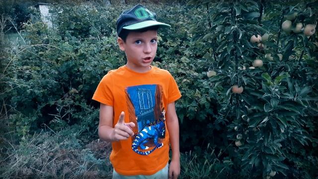 Владимир Орлов "Ворона". Учим букву "Р" смотреть онлайн