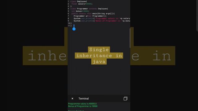Single Inheritance in java Programming смотреть онлайн