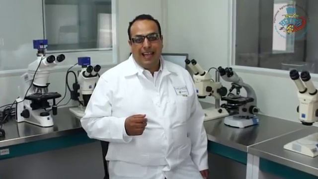 Técnicas moleculares usadas para el diagnóstico de enfermedades causadas por Fusarium spp смотреть онлайн