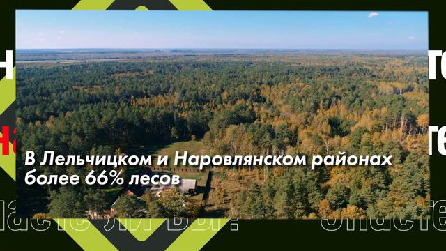 Знаете ли вы? Гомельская область самая лесистая в Беларуси смотреть онлайн