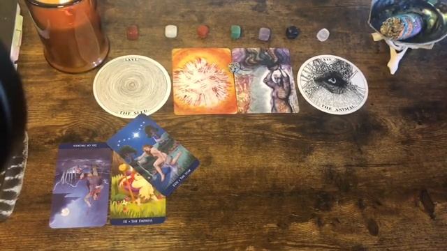 Sagittarius ? “Celebrating A Wish Granted!” Next 48hrs Tarot Oracle 2021 смотреть онлайн