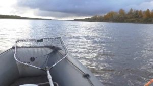 НАСТРОЙКИ для ПОКАЗА РЫБЫ В БОКОВЫХ лучах эхолота  Garmin STRIKER 9SV PLUS и Garmin STRIKER Vivid