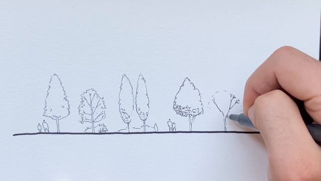 How to Draw Trees Quickly! Colour in Krita // Narrated Landscape Architecture Tutorial смотреть онлайн