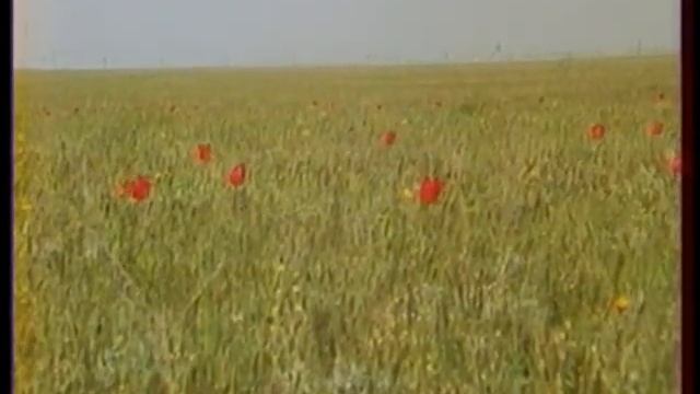 "Как ты прекрасна, степь моя, в апреле!" смотреть онлайн