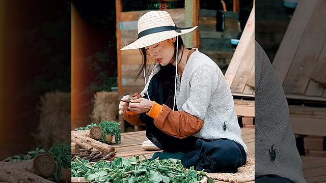 Стали одним целым с природой🍃 смотреть онлайн