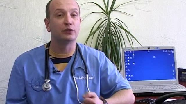 Блохи и клещи у собак смотреть онлайн