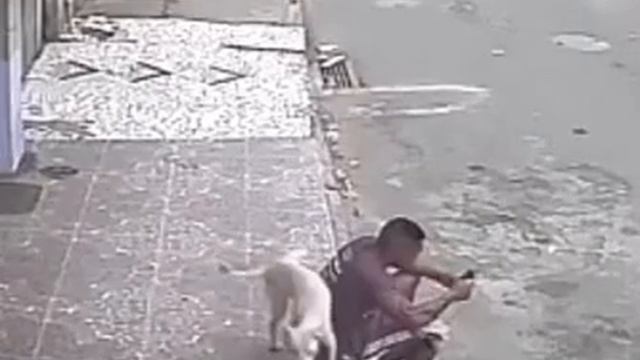 сидишь себе никого не трогаешь смотреть онлайн