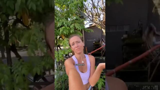 Тропические фрукты на Бали Карамбола или старфрукт #карамбола #старфрукт #тропическиефрукты смотреть онлайн