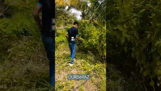 Makita Cordless Brush cutter #DUR369AZ #MAKITA смотреть онлайн