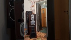 Акустическая система Эстония 35 ас-021