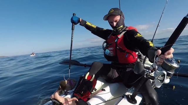 COD and SPOTTY mackerel Noosa - Viking Oxygen kayak смотреть онлайн