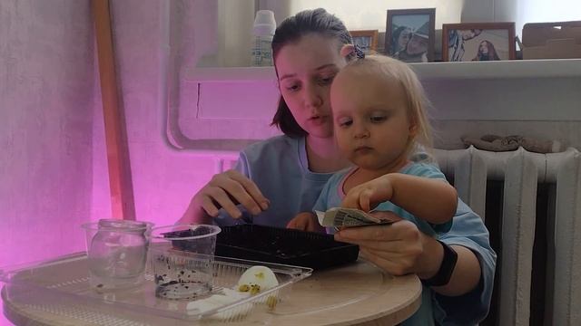 Чем можно занять ребенка в 2 года