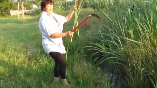 Галина Редькина. Букет из Рогоз. смотреть онлайн