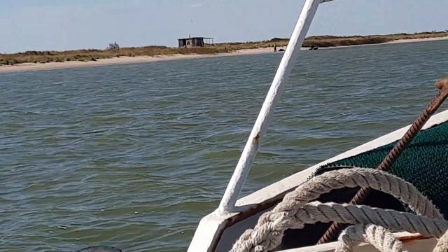 Путешествие в Ейск 2021. Морская прогулка на птичий остров;) смотреть онлайн