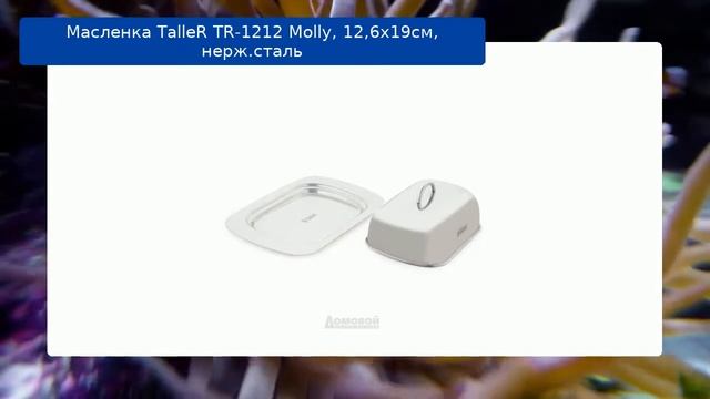 Масленка TalleR TR-1212 Molly, 12,6х19см, нерж.сталь обзор смотреть онлайн