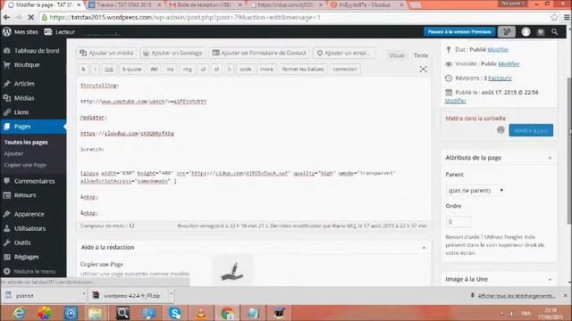 publication video + swf sur wordpress смотреть онлайн