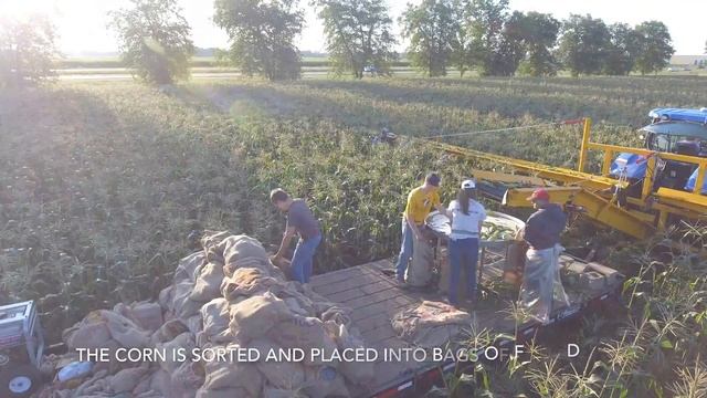 Twin Cities Maze Sweet Corn Harvest смотреть онлайн