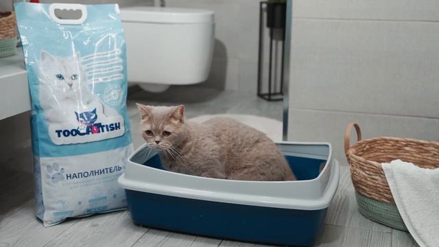 Силикагелевый наполнитель -TooCattish смотреть онлайн