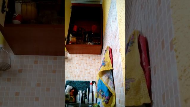 Покупка чехла смотреть онлайн