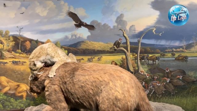Travel California-La Brea Tar Pits in Los Angeles смотреть онлайн
