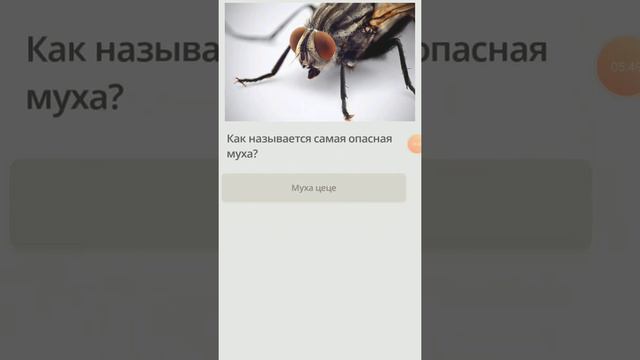 Игра 