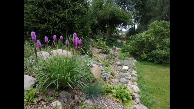 Тропический сад на севере Подмосковья смотреть онлайн