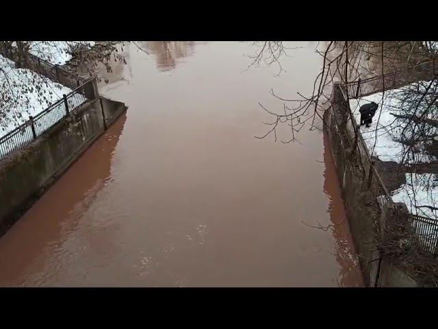 Травят реку Сходня. 17 марта 2024 г. смотреть онлайн