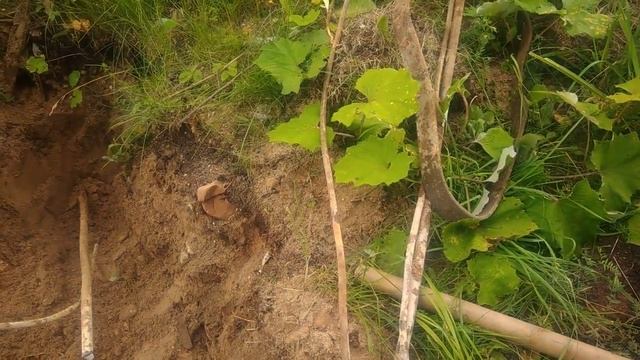 Металл который не хотят собирать смотреть онлайн