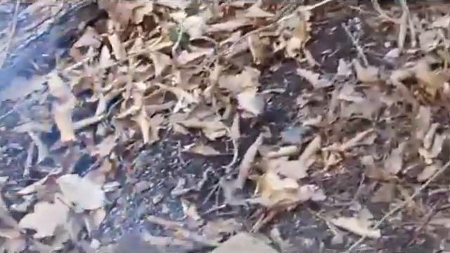 Походная кухня, легко и вкусно