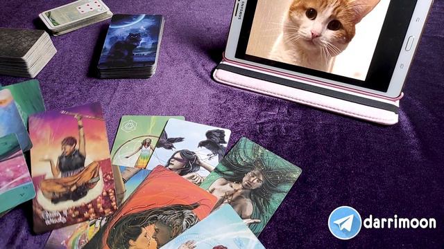 😥КОТ ТВИКС🔮ТАРО⭐️ЛЕНОРМАН смотреть онлайн