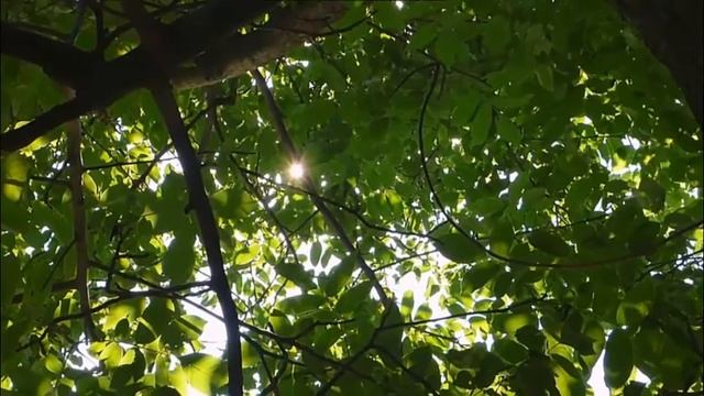 Ремонт в стиле модерна