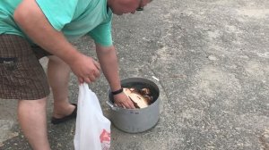 Заготовка и быстрая сушка березового сувеля и капа