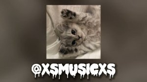 DEAD BLONDE - Снег растаял на плечах speed up